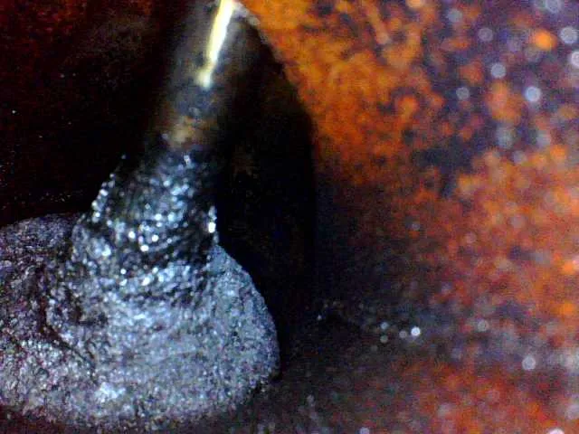 Intake valve image visible carbone buildup