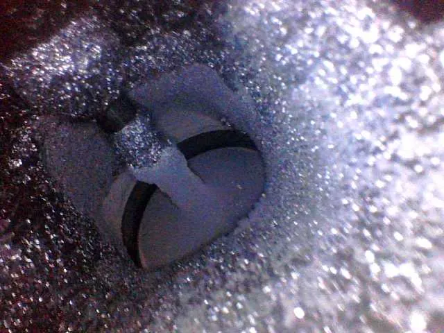 Intake Valve with visible oil and carbon deposit